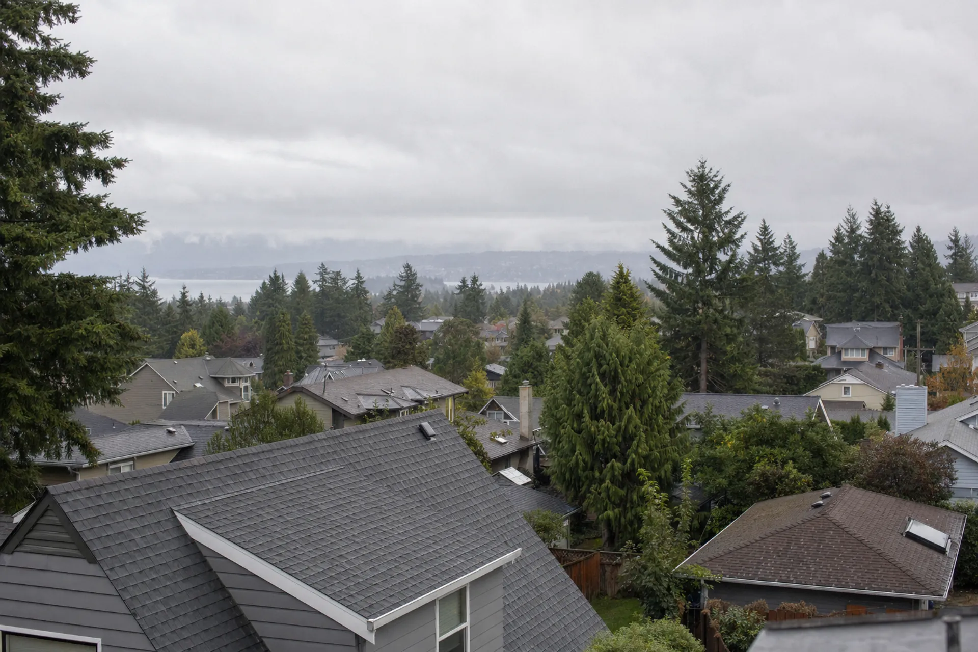 Panoramic view of rooftops in Southwest Washington neighborhood