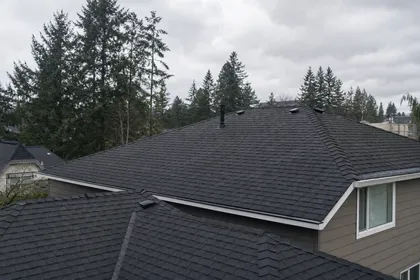 Professional roofing work