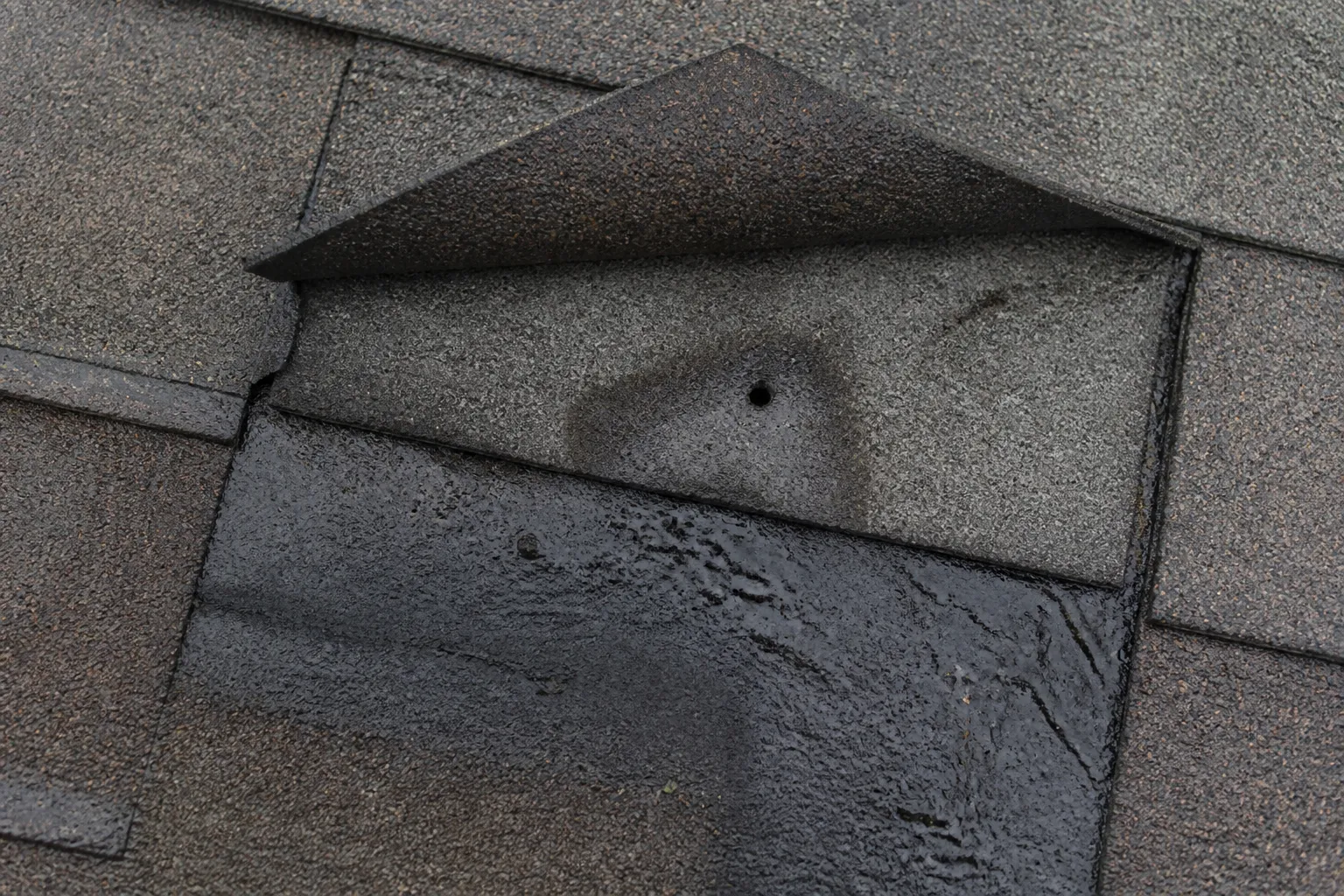 A shingle tab peeled back to reveal a nail hole punched through the layer beneath, with dark water staining ringing the hole and spreading into the material around it